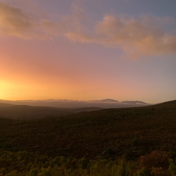 Meet your Posher, Janine - Picture 1 of 1